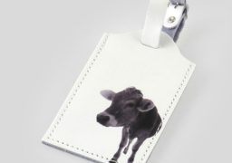 Luggage tag