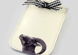 Smartphone cases