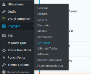 Comment intégrer un compteur de visites dans WordPress ?