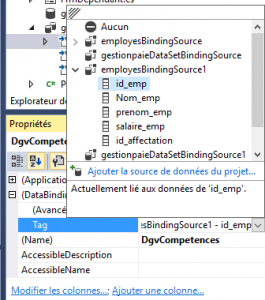 C#: LE CONTRÔLE DATAGRIDVIEW