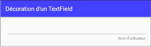 InputDecoration pour TextField et TextFormField9