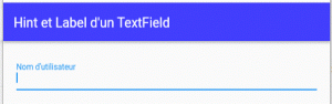InputDecoration pour TextField et TextFormField1