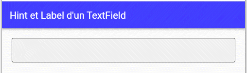 InputDecoration pour TextField et TextFormField4