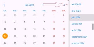 Créer un table_calendar avec sélection de mois et année dans Flutter
