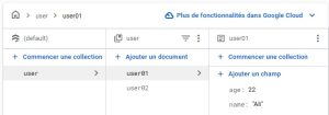 Récupérer et Ajouter des Données dans Firestore avec Flutter et StreamProvider