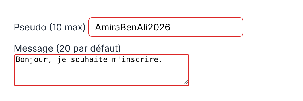 Résultat attendu de l'activité 1 : bordure rouge au-delà de la longueur maximale