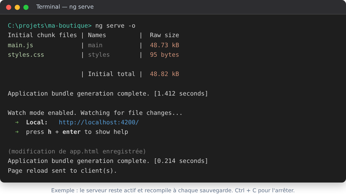 Lancement du serveur de développement avec ng serve