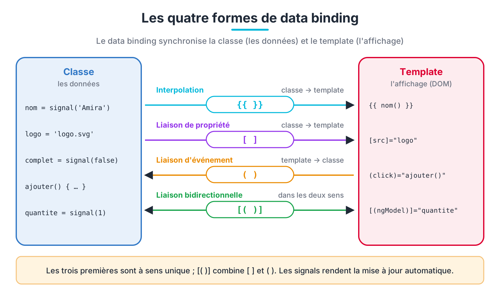 Les quatre formes de data binding entre la classe et le template