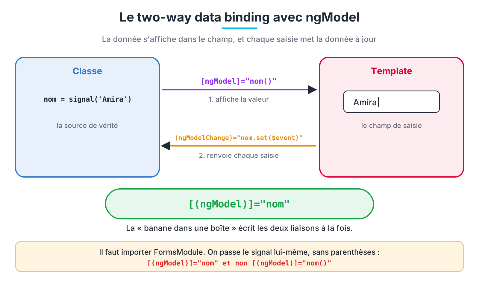 [(ngModel)] : une liaison de propriété et une liaison d'événement