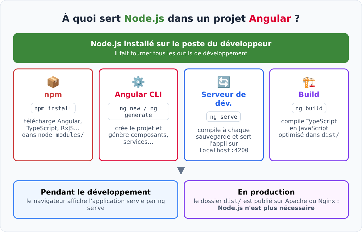 Rôle de Node.js dans un projet Angular