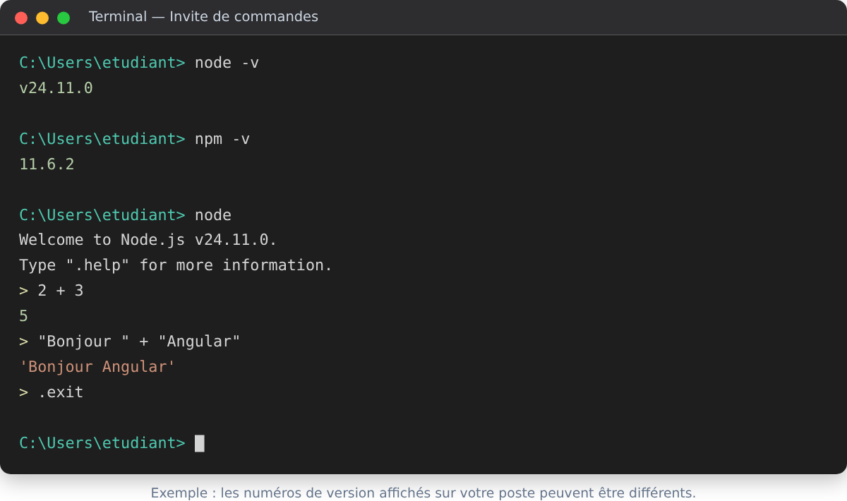 Vérifier l'installation de Node.js dans le terminal