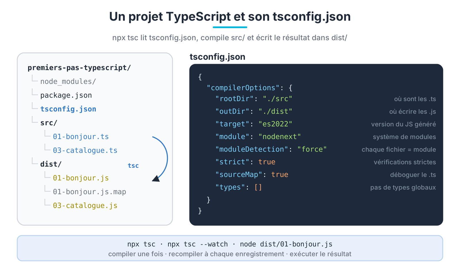 Un projet TypeScript et son fichier tsconfig.json